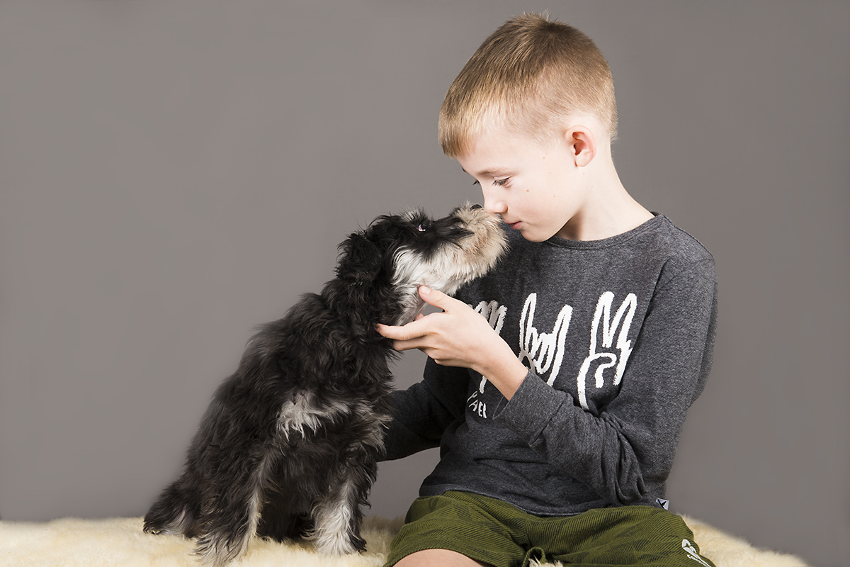 boy and 2 weeks old puppy studio photo