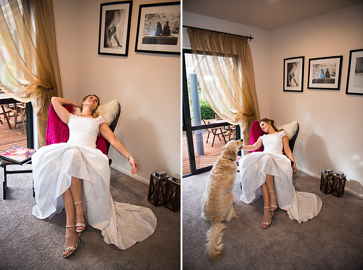 beautiful bridal photoshoot - bride and dog, whangarei nz