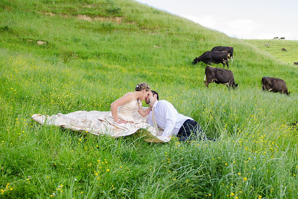 real farm wedding Northland NZ